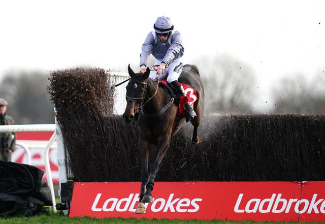 Il Est Francais was a brilliant winner of the Kauto Star Novices' Chase at Kempton last year