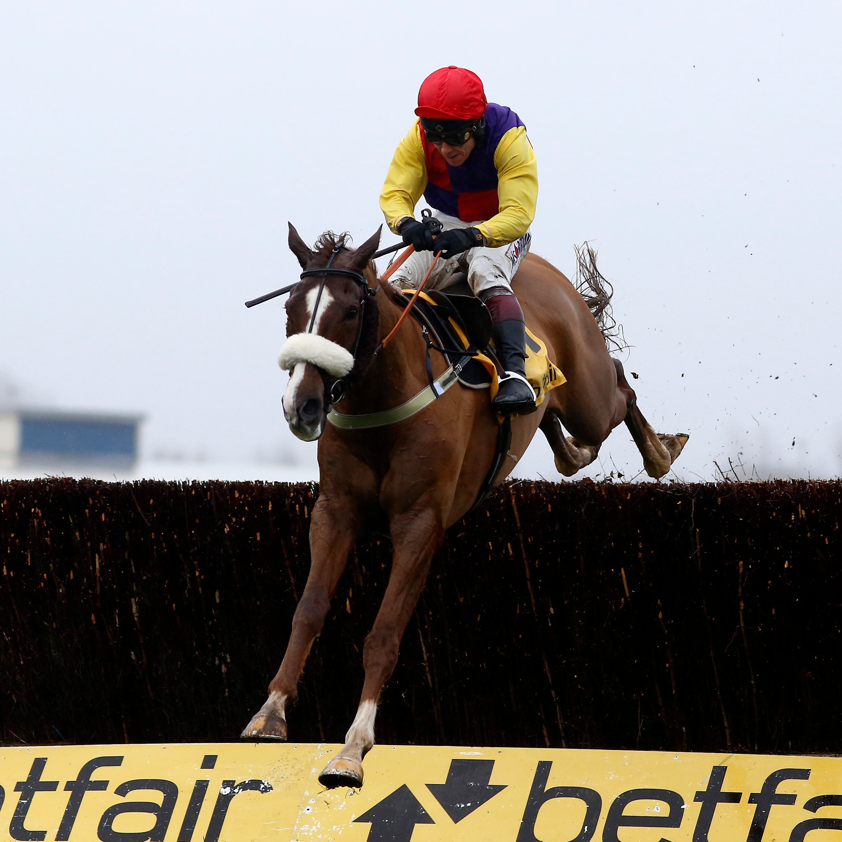 Native River is looking for a hat-trick in the Denman Chase