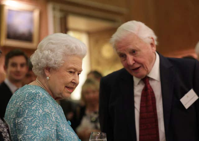 The Queen’s Commonwealth Canopy