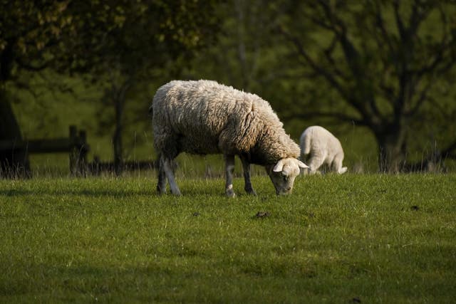 The NFU has criticised the UK-NZ trade deal