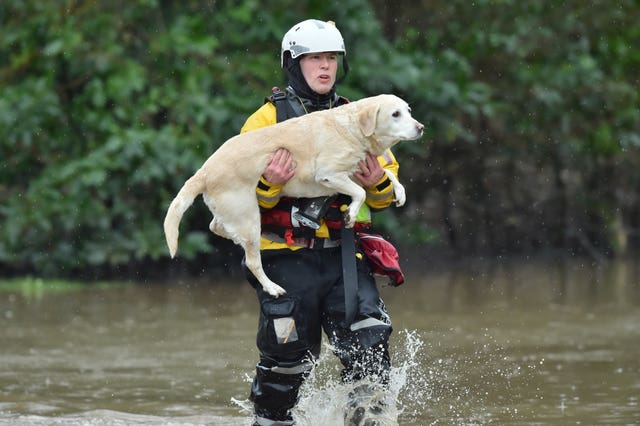 A firefighter carries a dog to safety