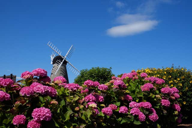 Summer weather July 22nd 2018