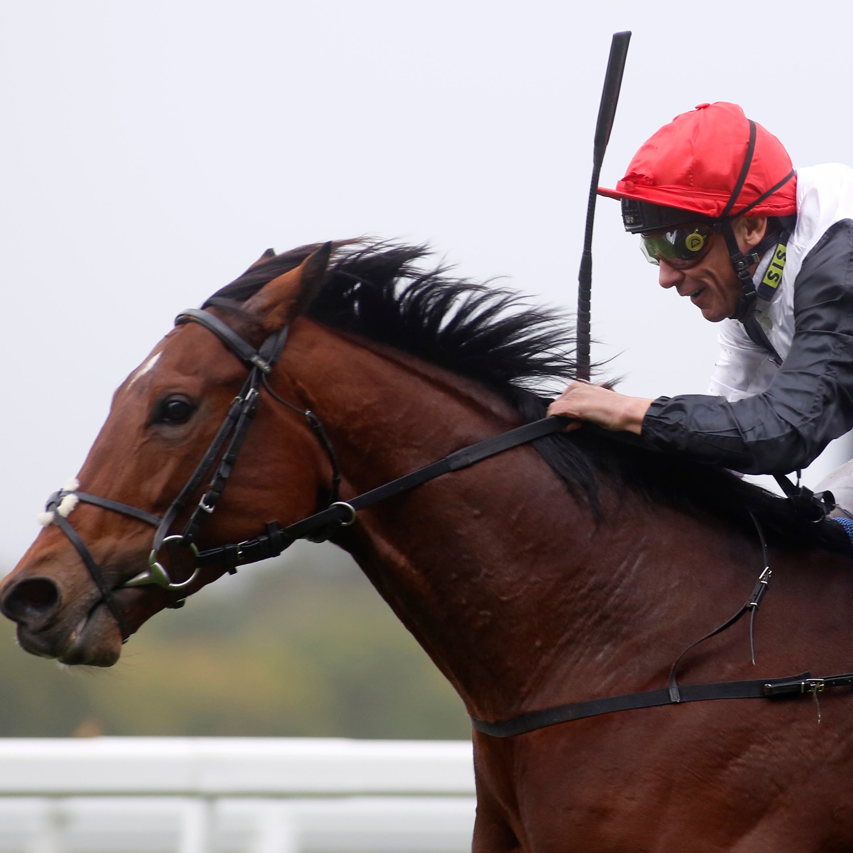 Cracksman and Frankie Dettori won the Champion Stakes in brilliant fashion last year