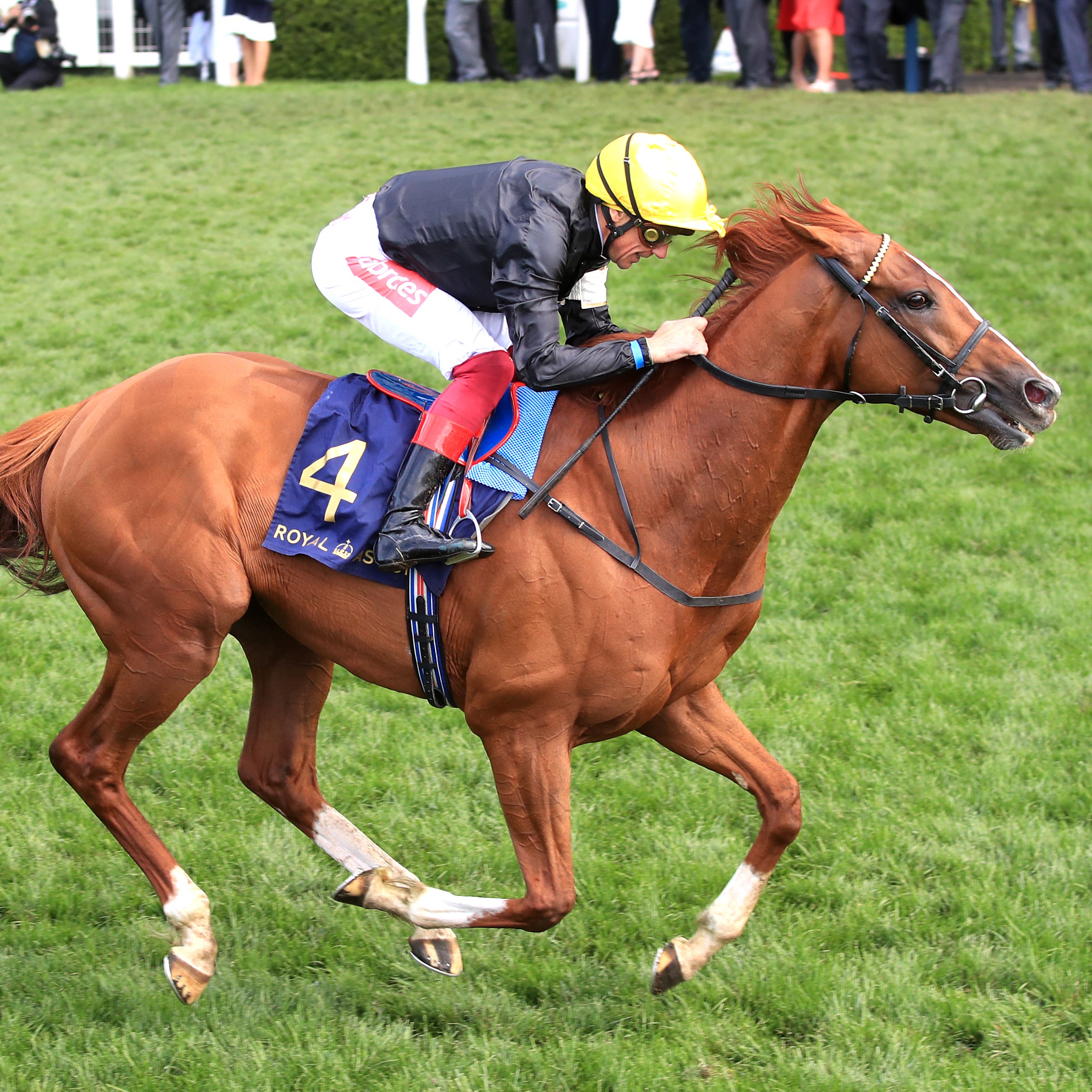 Stradivarius bids for a third Goodwood Cup on Tuesday