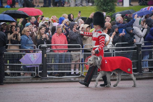 A member of the Irish Guards with their regimental mascot Irish wolfhound Turlough Mor, affectionately known as Seamus, march along The Mall