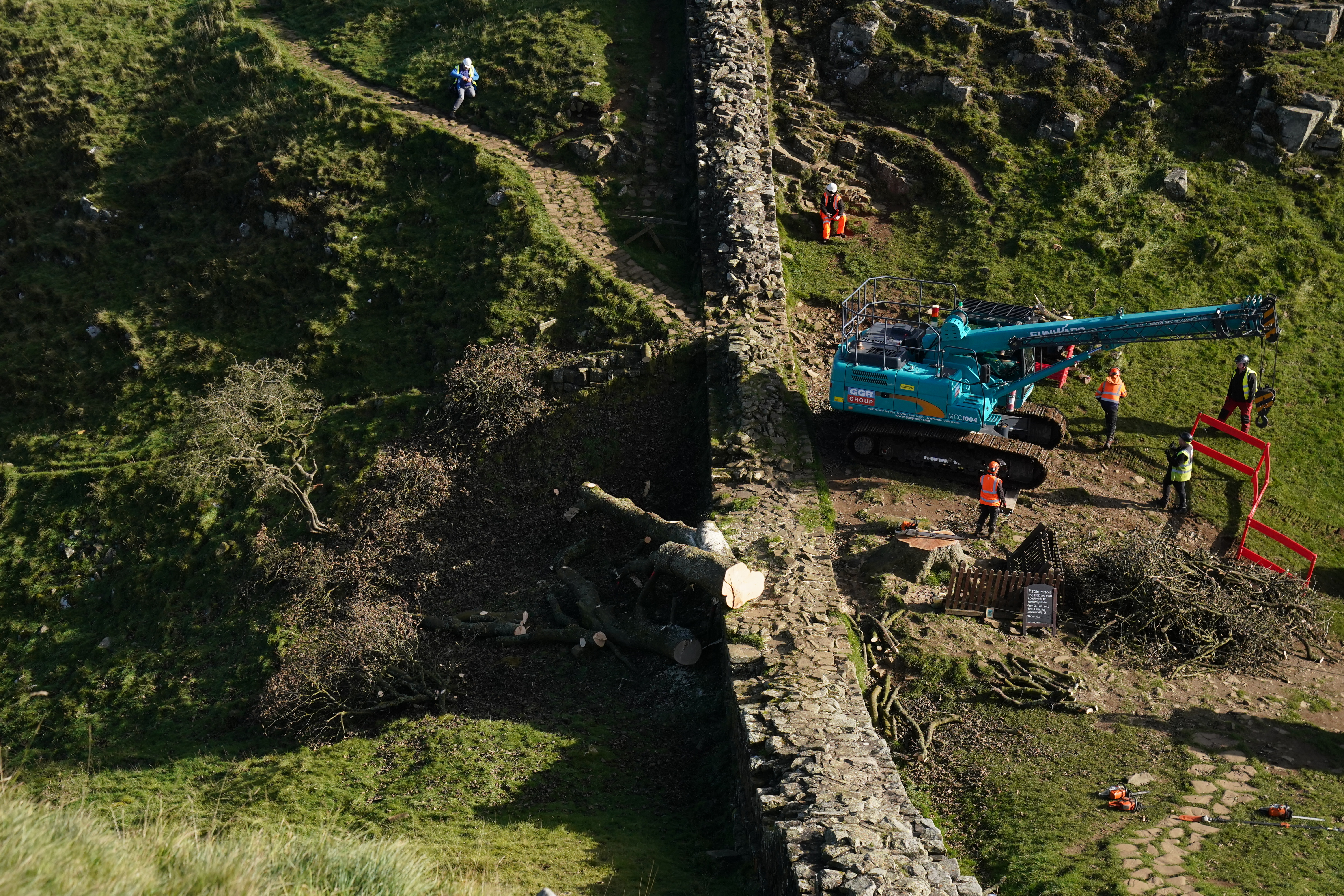 Two Men Charged Over Felling Of Sycamore Gap Tree | Harwich And ...