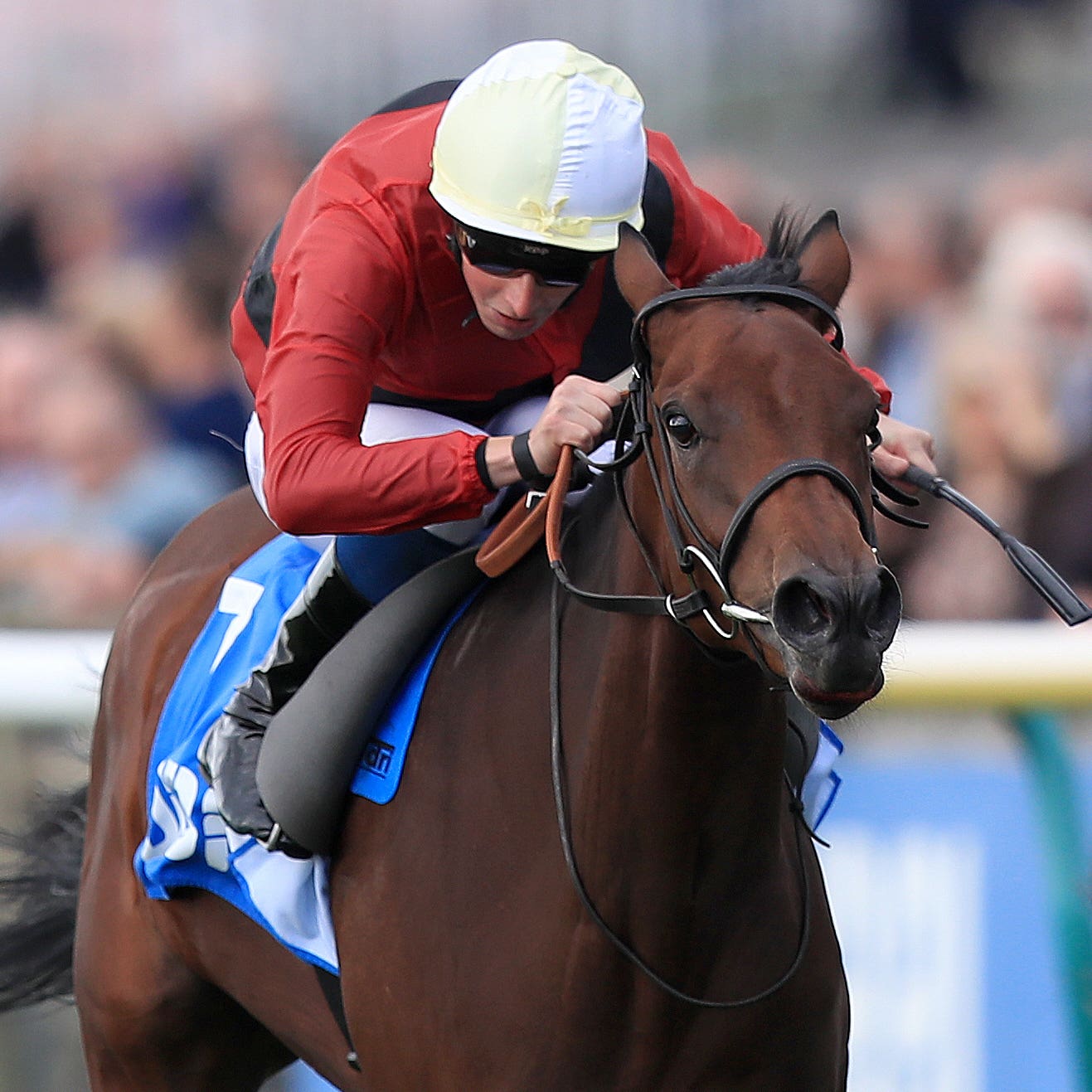 Mot Juste runs in the Nell Gwyn Stakes at Newmarket