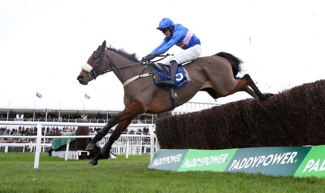 Libberty Hunter in full flight at Cheltenham 