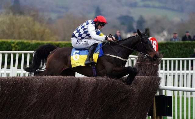 Stattler winning the National Hunt Chase 