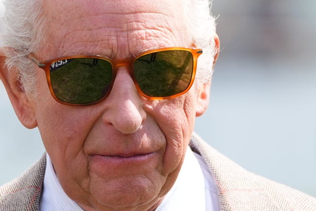 The King wearing sunglasses in close-up