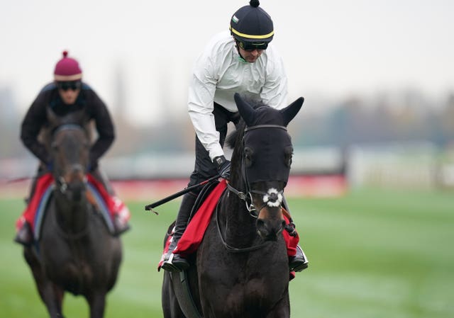 Mister Coffey (right) will bid to give Nicky Henderson his first National success 