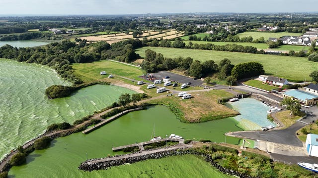 Blue-green algae on Lough Neagh