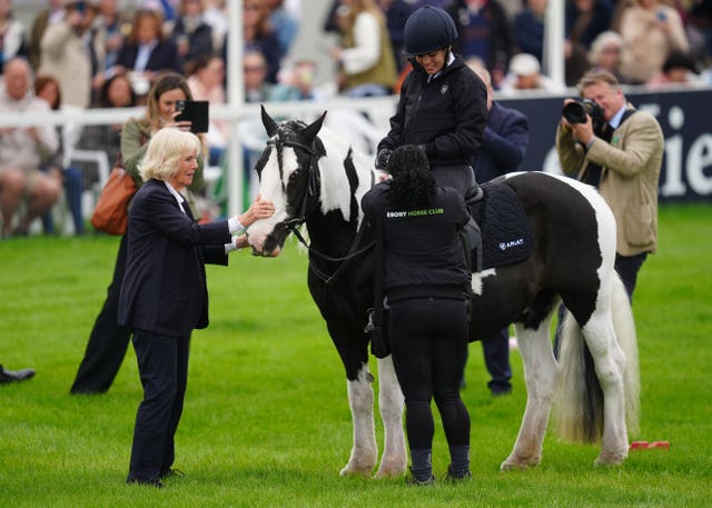 Badminton Horse Trials 2026 &ndash; Day Two