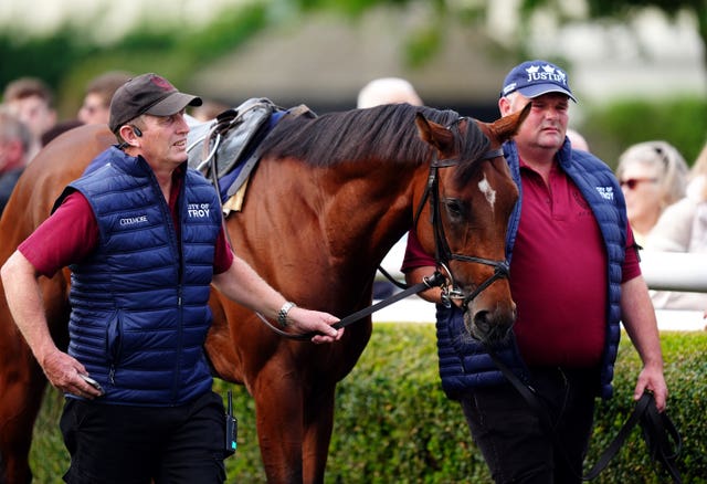 City Of Troy preparing for his gallop