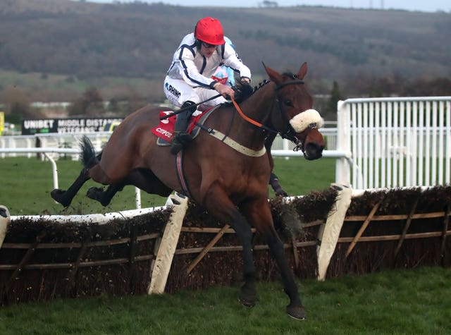 White Rhino was a Cheltenham winner over hurdles 