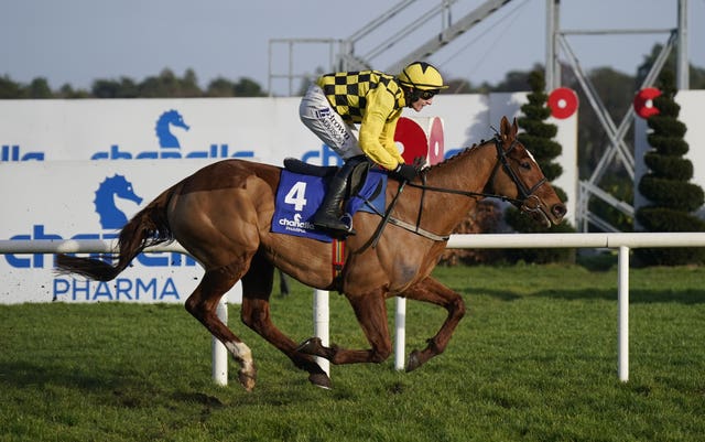 State Man was a cosy winner of the Irish Champion Hurdle 