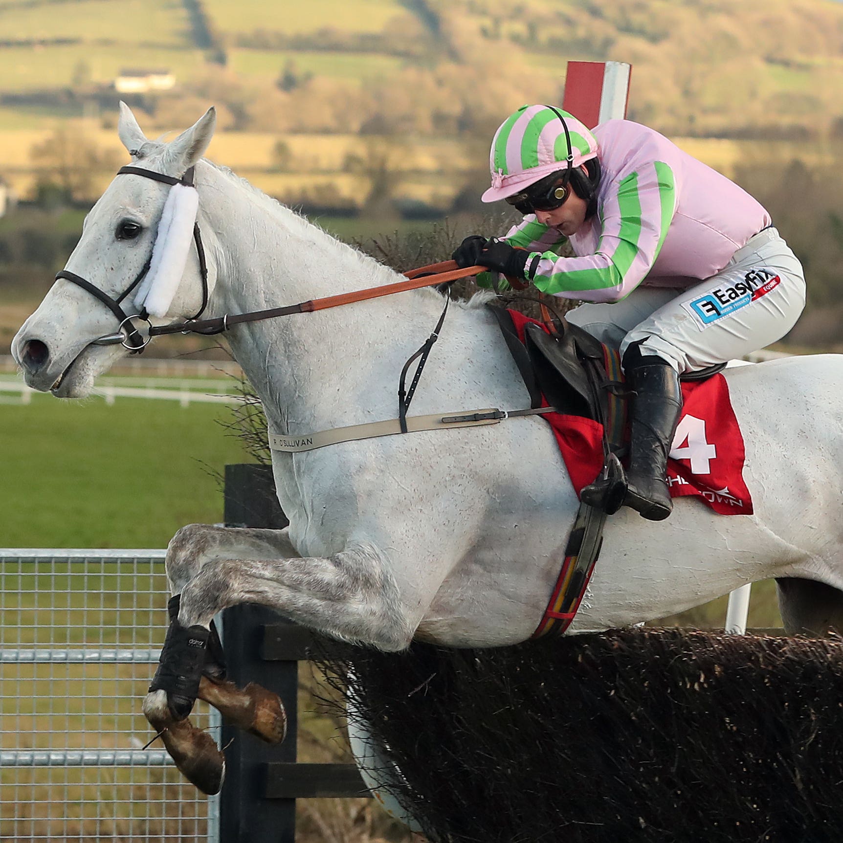 Baie Des Iles is heading to Naas
