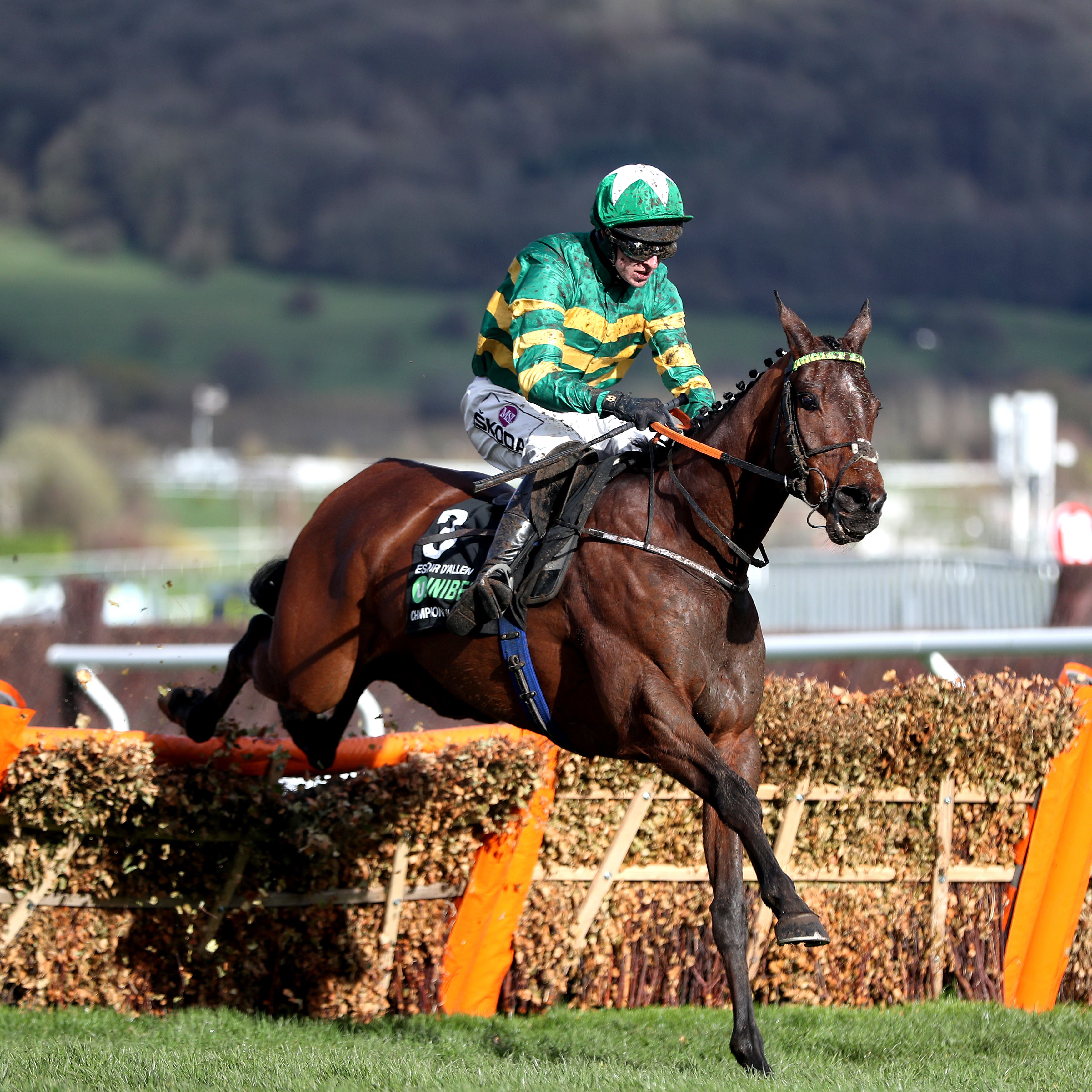 Espoir D’Allen clears the last in splendid isolation
