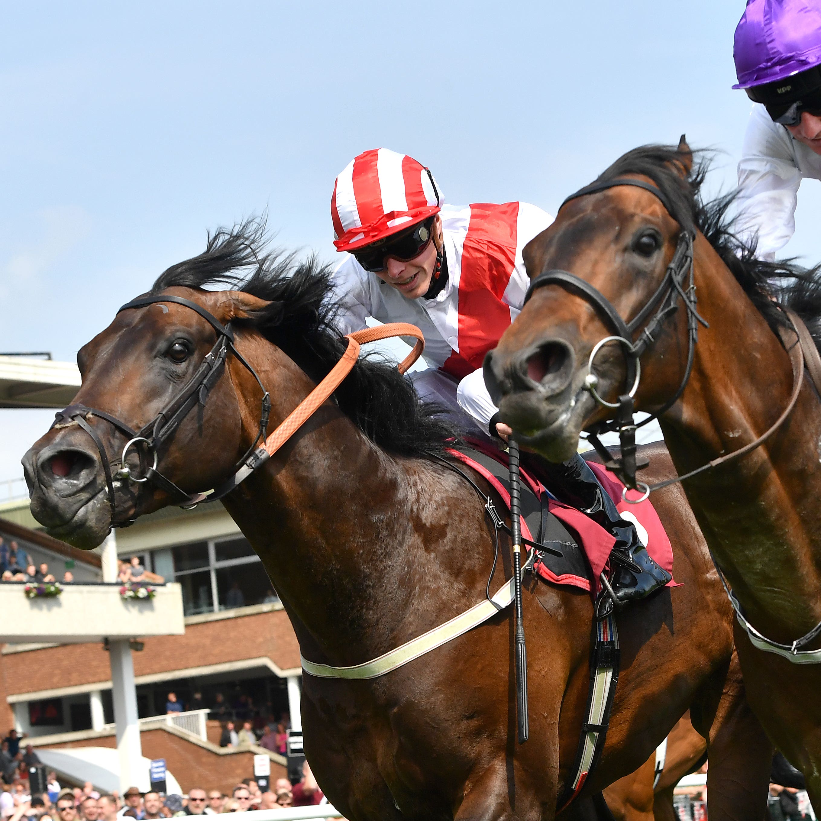 Sands Of Mali (right) holds off Invincible Army at Haydock