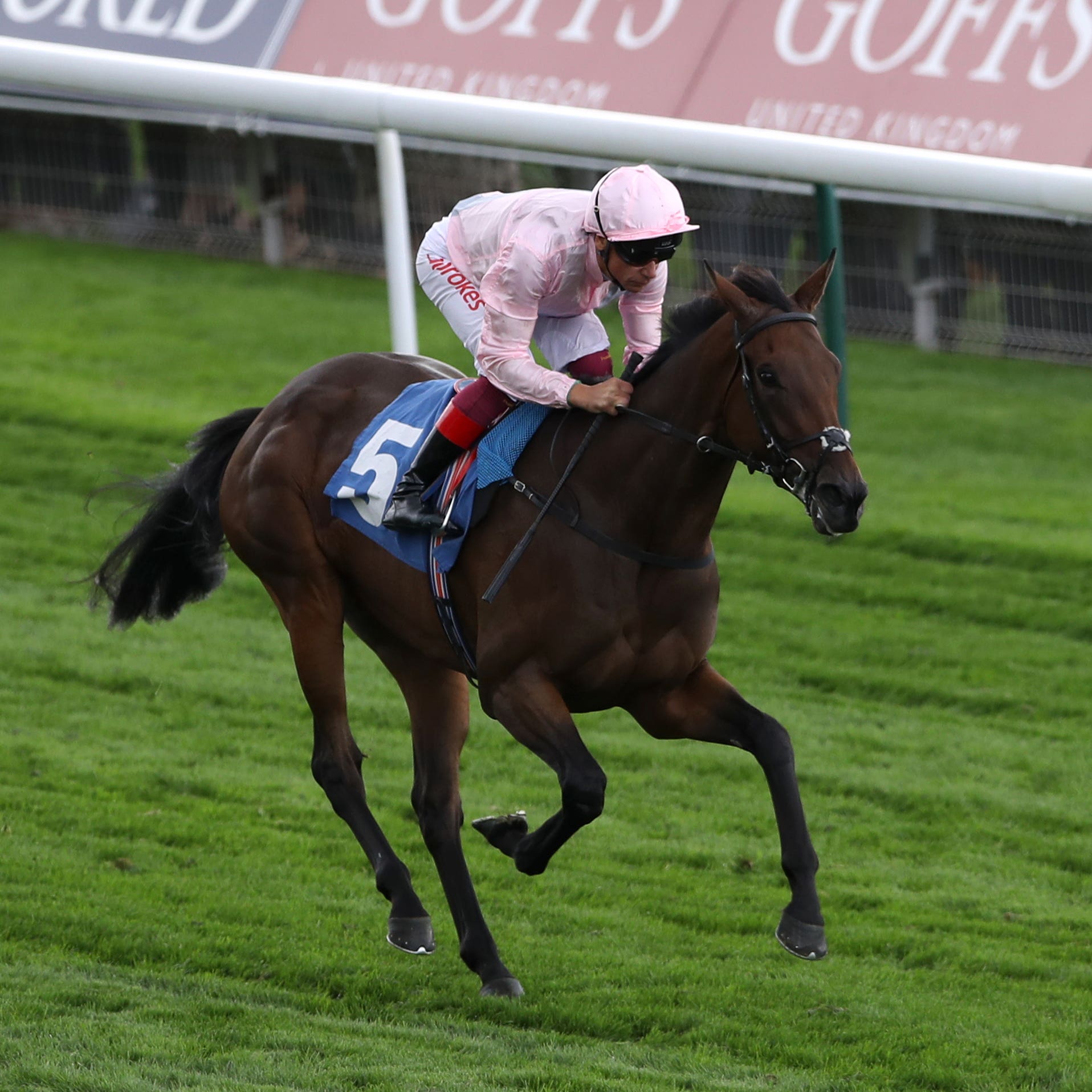 Lah Ti Dar is set to reappear at York next month