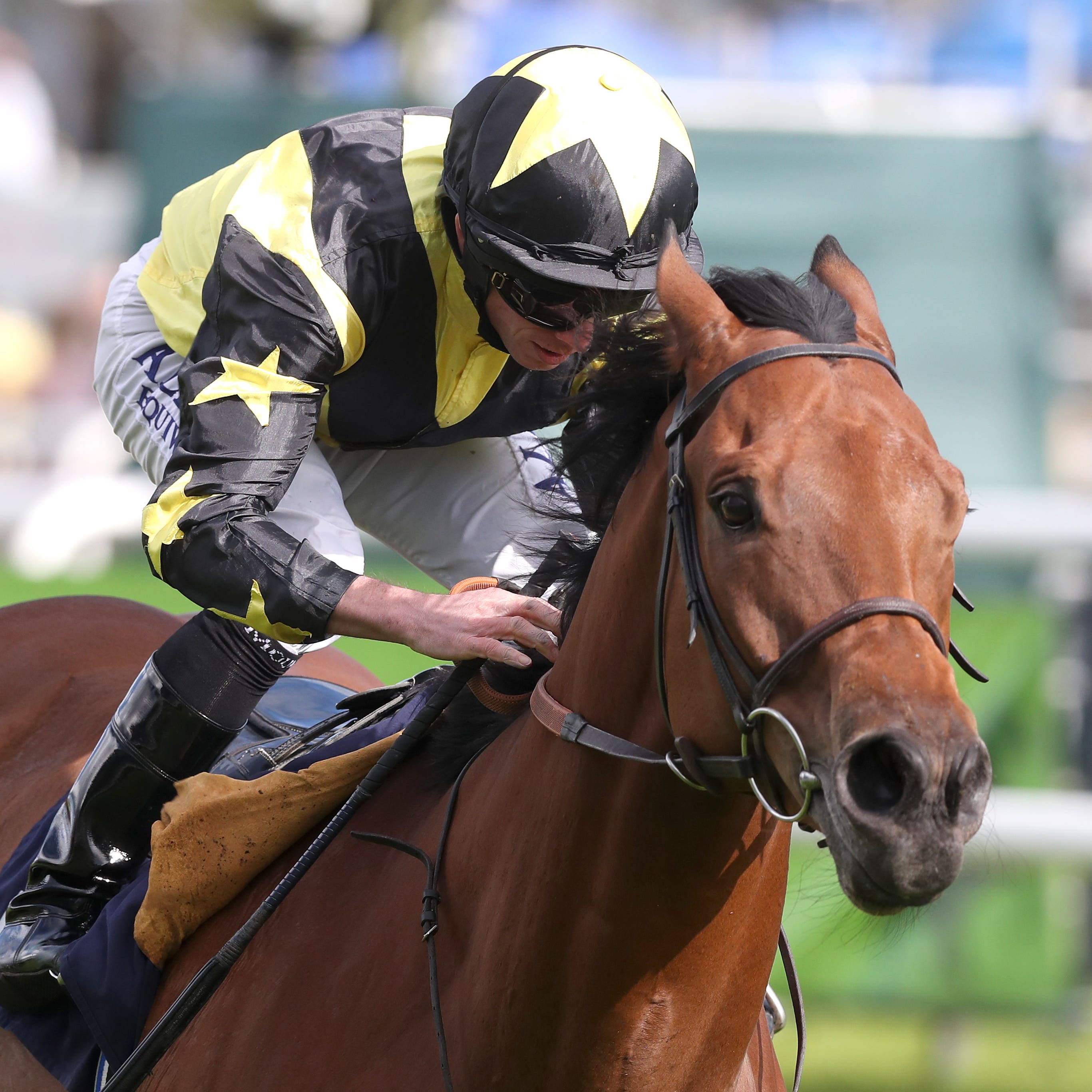Encore D’Or on course for Dundalk venture
