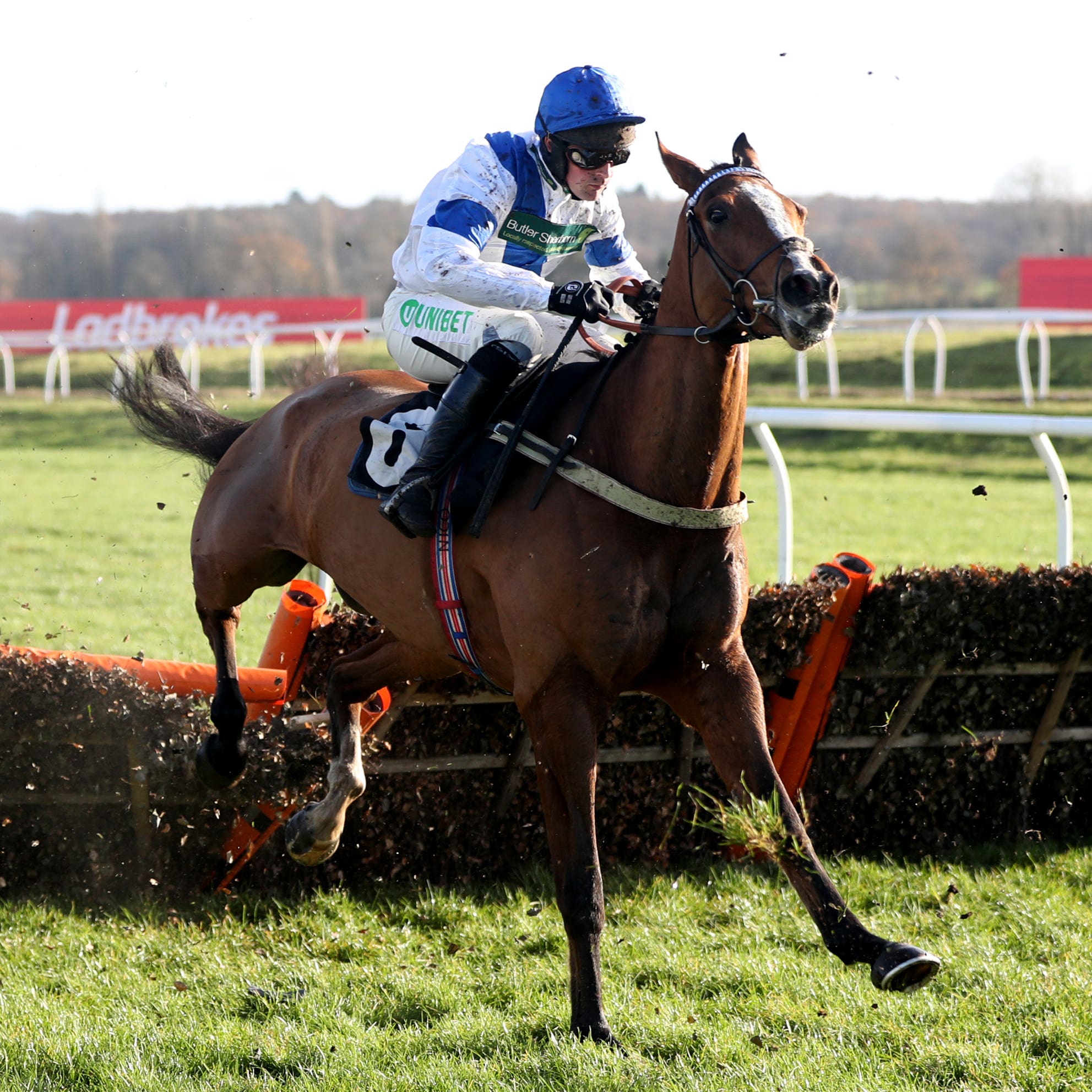 Bright Forecast was a poignant winner in the colours of Aldaniti at Newbury