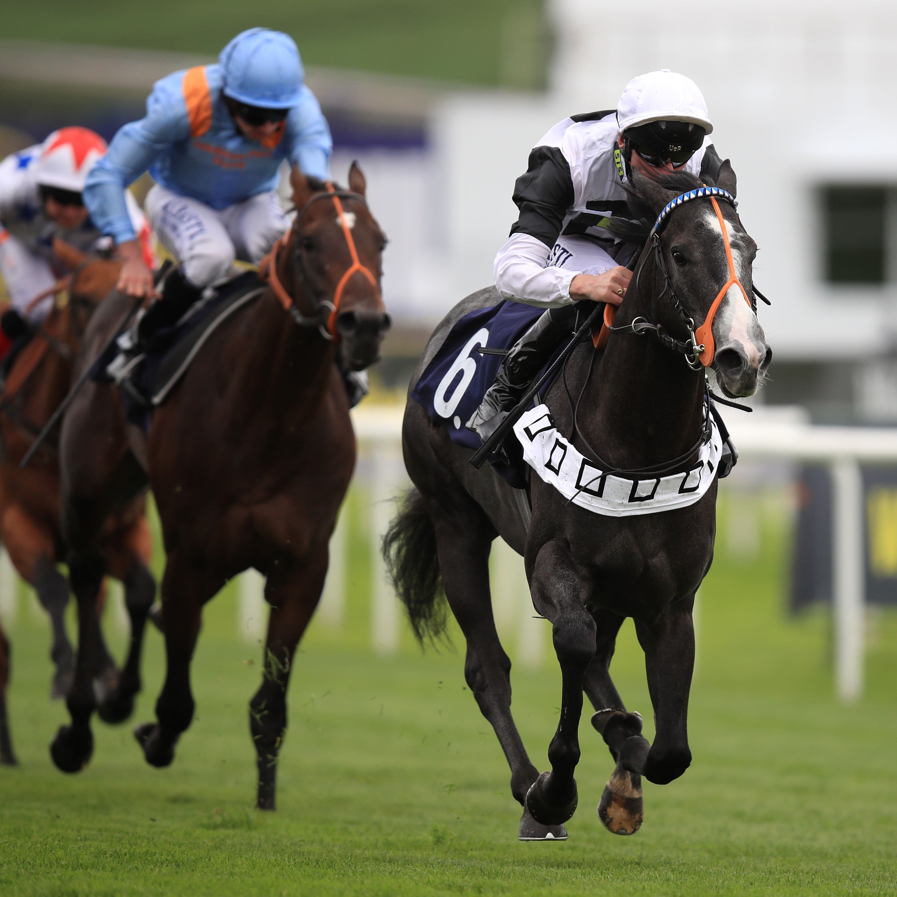 2000 Guineas runner-up Tip Two Win who will be aimed at next year's Lockinge after having time called on his current campaign