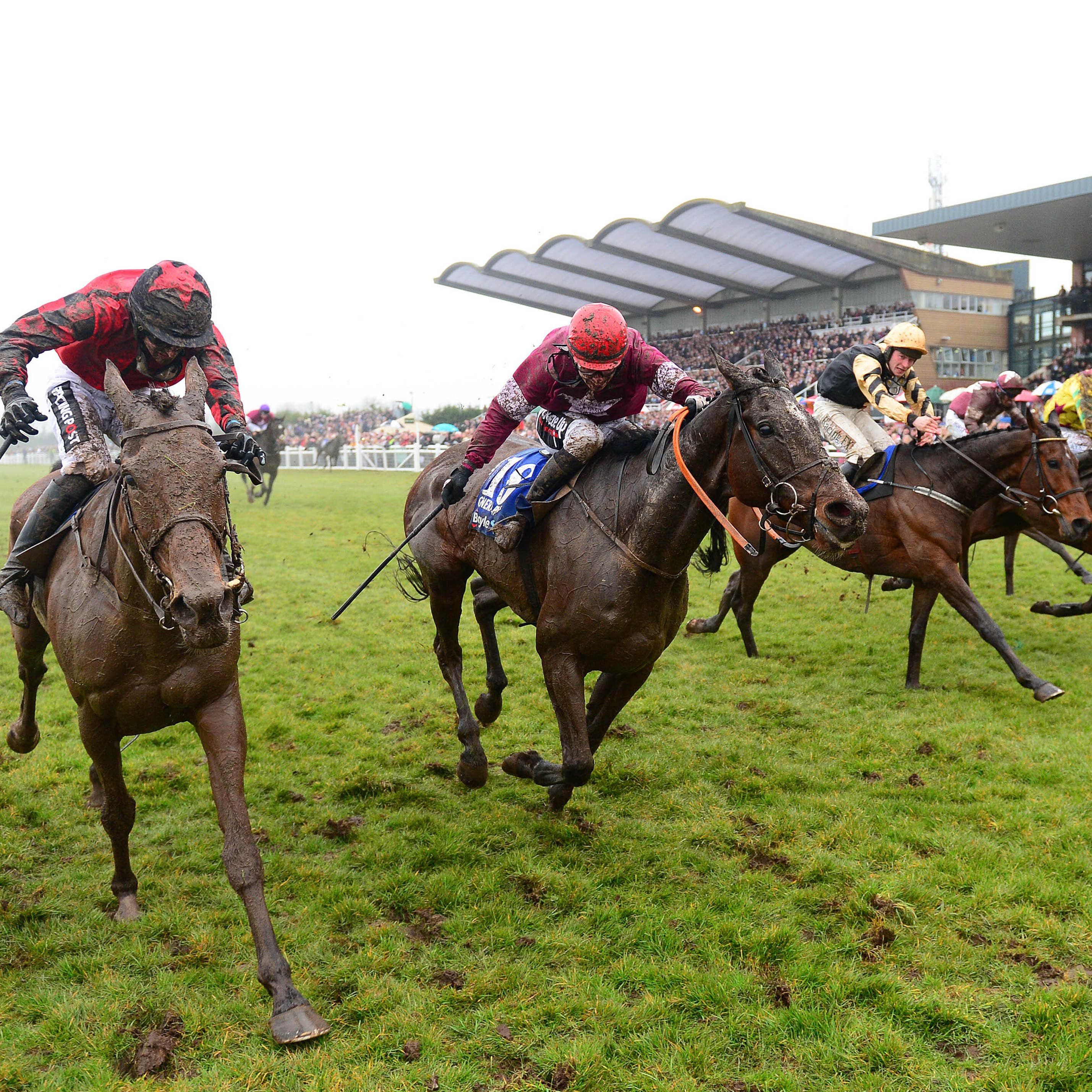 General Principle (second left) came out on top in a blanket finish last year