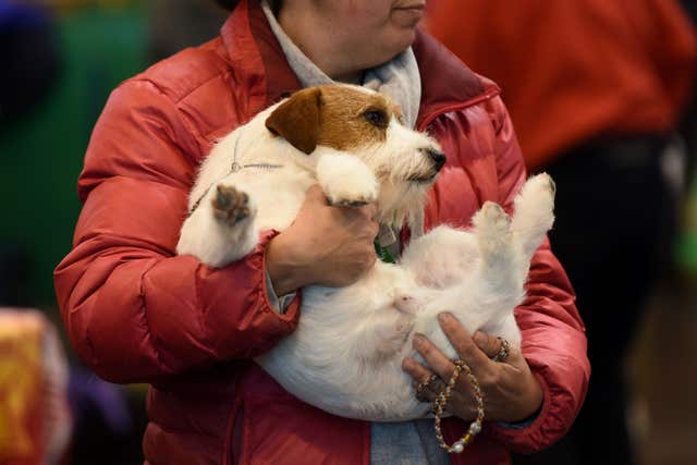 A woman carries her dog during day one of Crufts 2017 at the NEC in Birmingham.