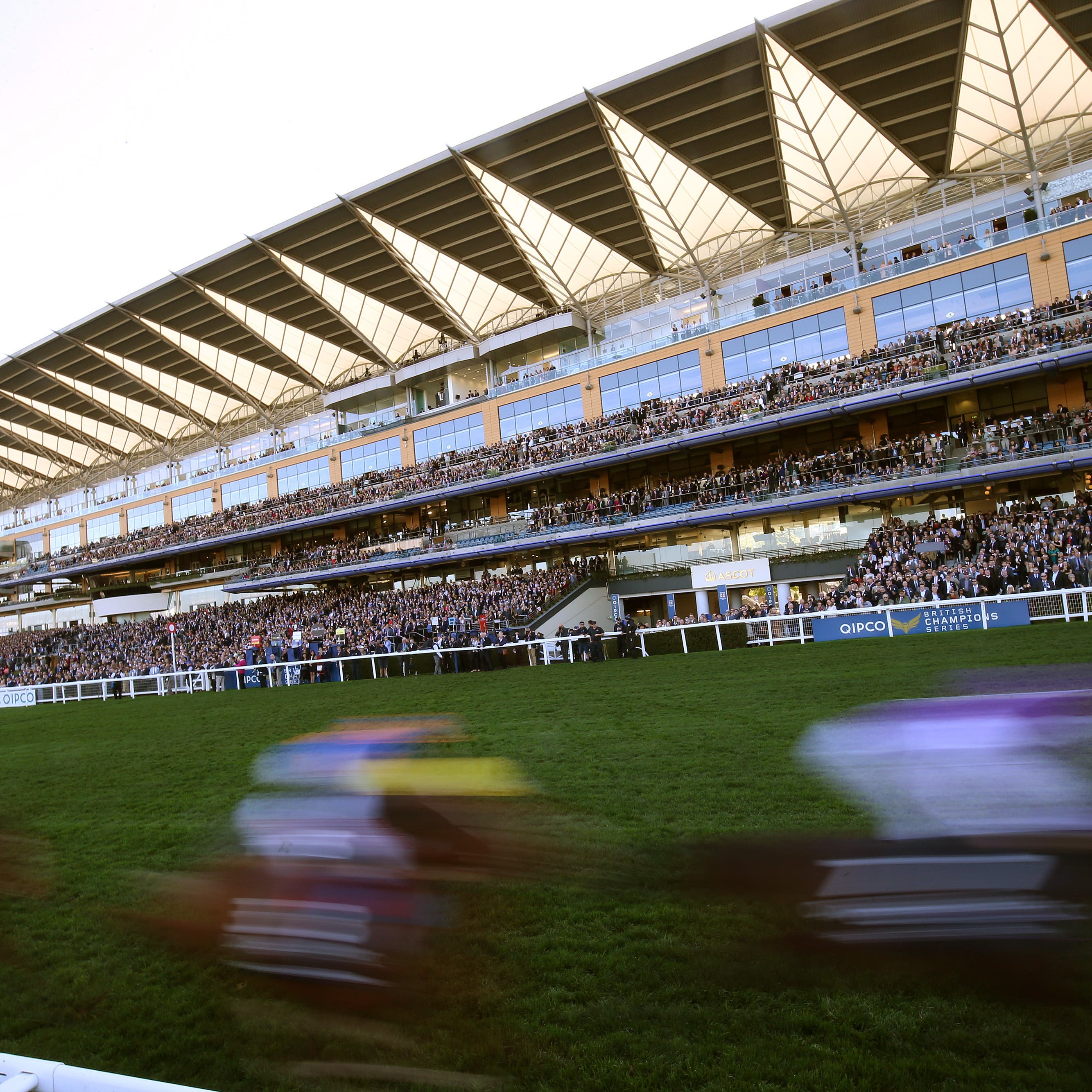 Michael O'Callaghan has mapped out his Royal Ascot team