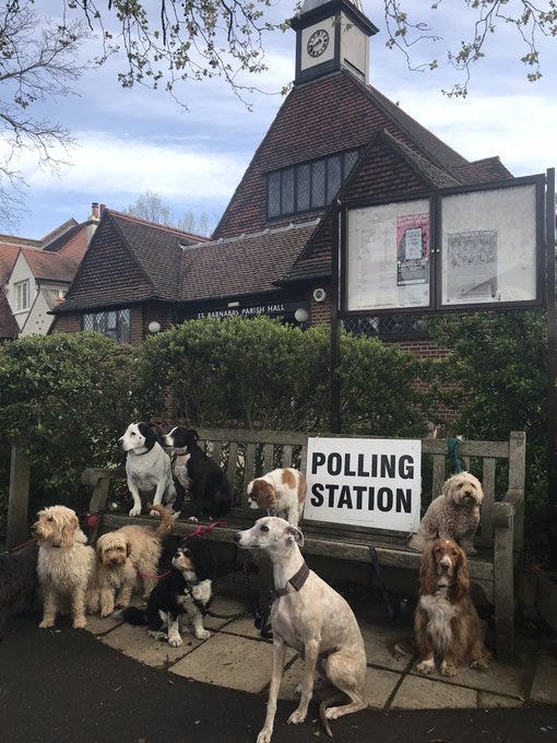 London Mayoral elections