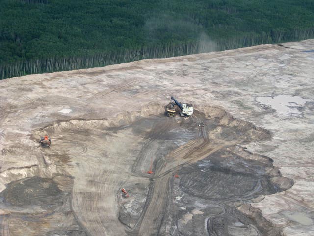 Habitat is being destroyed by human activity (Emily Beament/PA)