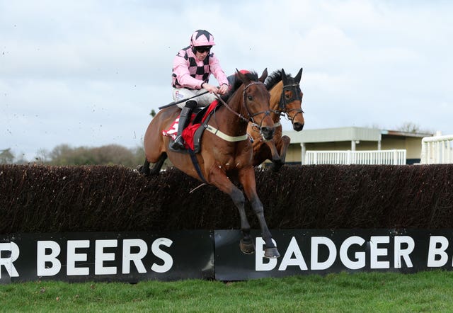 Fast Buck and Lorcan Williams clear the last 