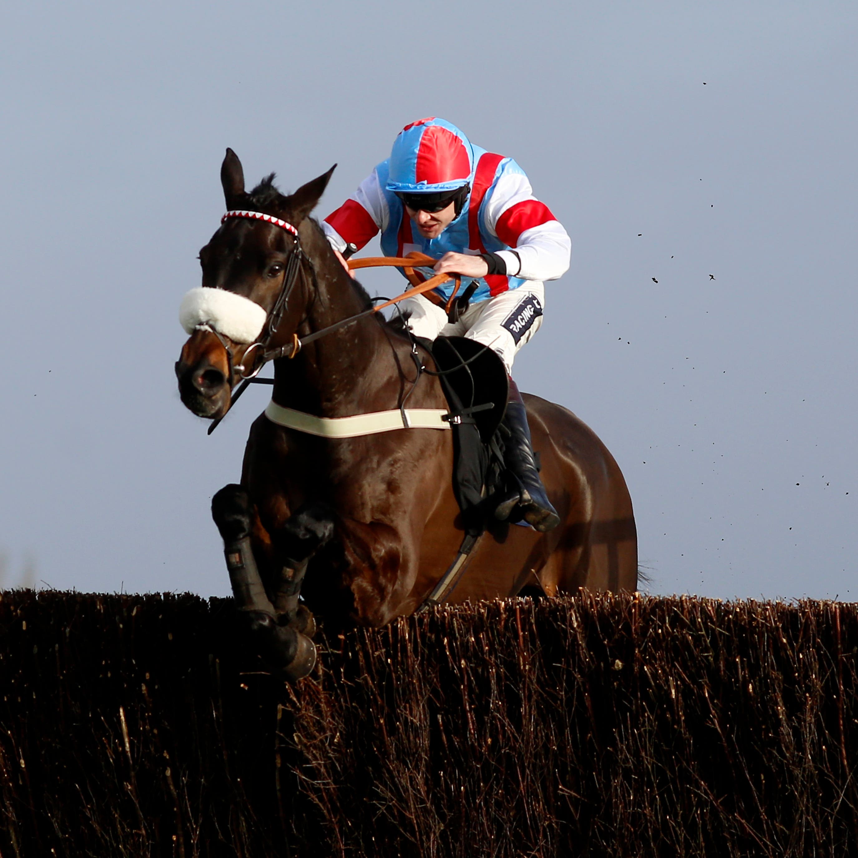 Saint Calvados is primed to run a big race against Altior next weekend