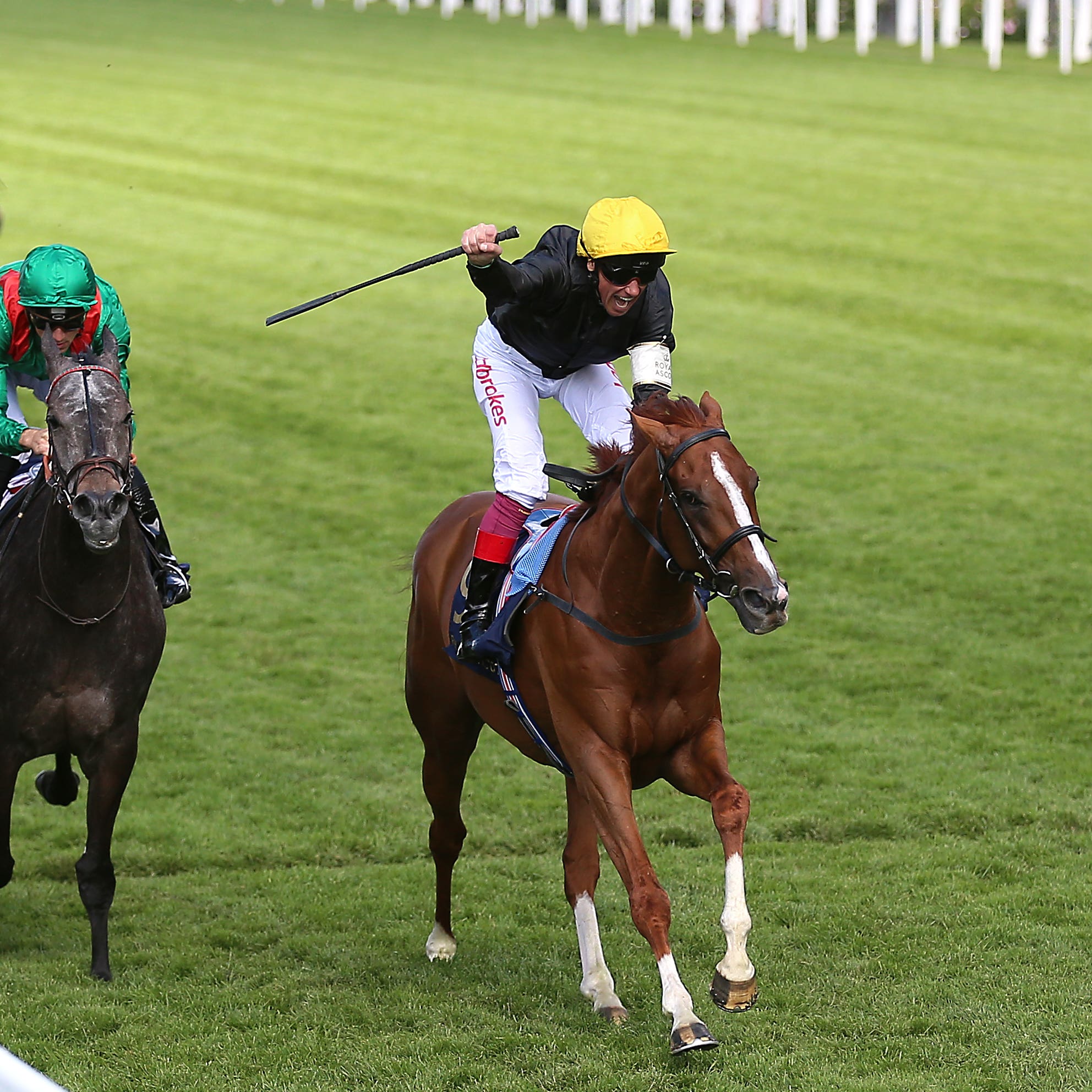 Stradivarius was brave in winning the Gold Cup
