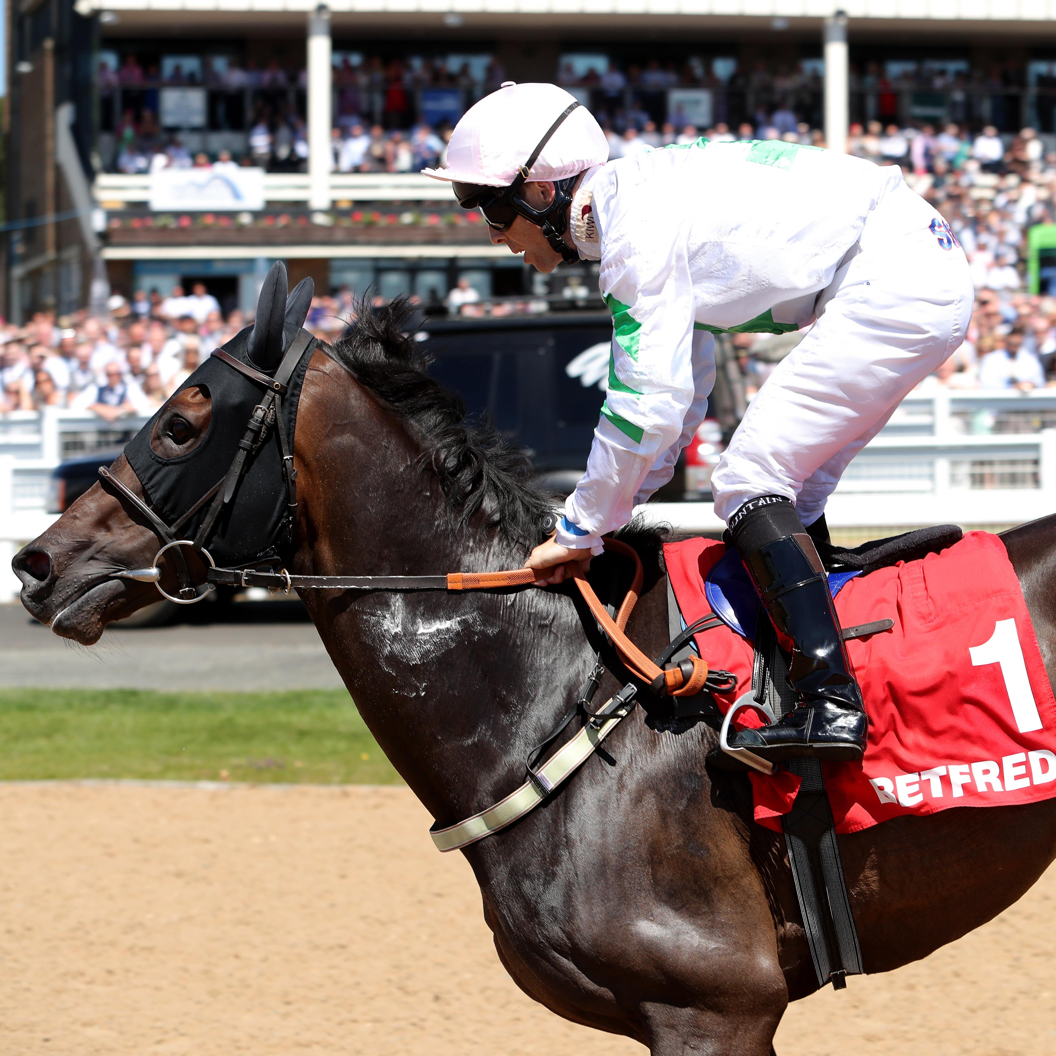 Above The Rest returned to winning ways in the Wulfruna Stakes at Wolverhampton