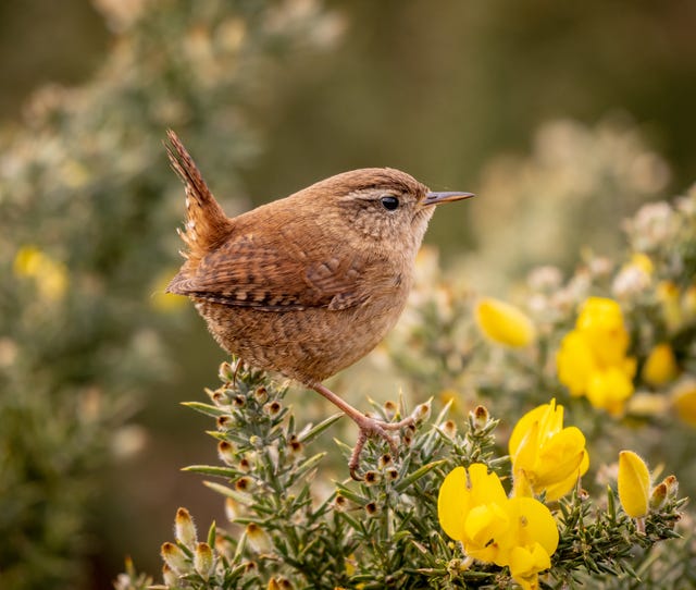 South Downs National Park’s annual photo competition