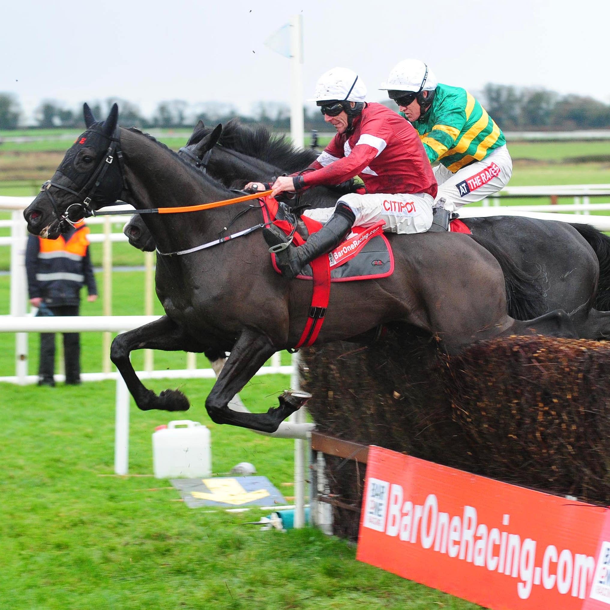 Delta Work (nearside) on his way to winning the Drinmore Novice Chase at Fairyhouse