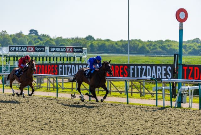 Military Order winning the Fitzdares Lingfield Derby Trial Stakes 
