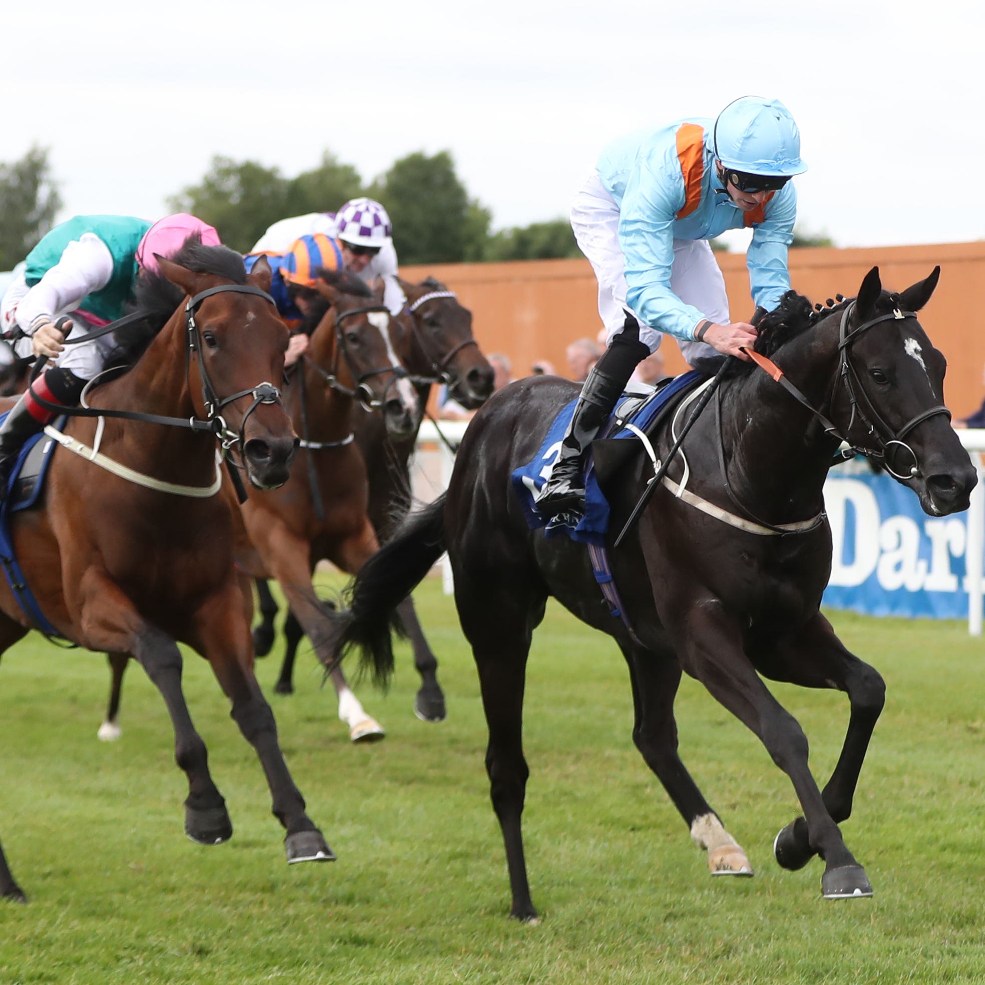 Marie’s Diamond (right) wins the Anglesey Stakes under James Doyle