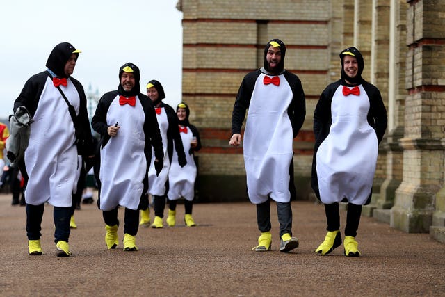 Penguins fancy dress
