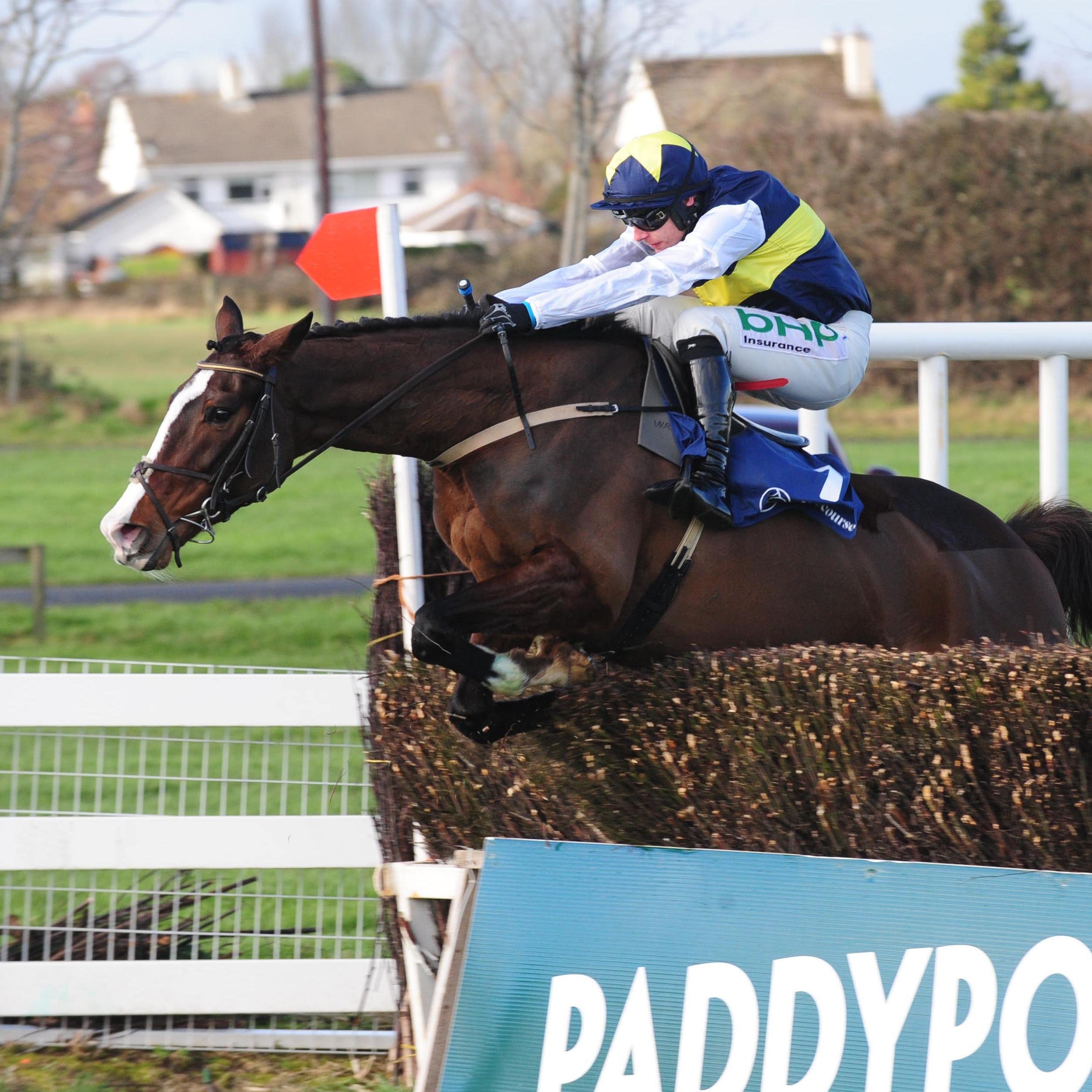 Pravalaguna and Paul Townend jump the last fence to win the BBA Ireland Opera Hat Mares Chase at Naas