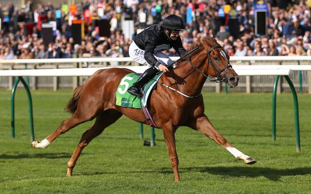 Millisle could have 1000 Guineas aspirations next season