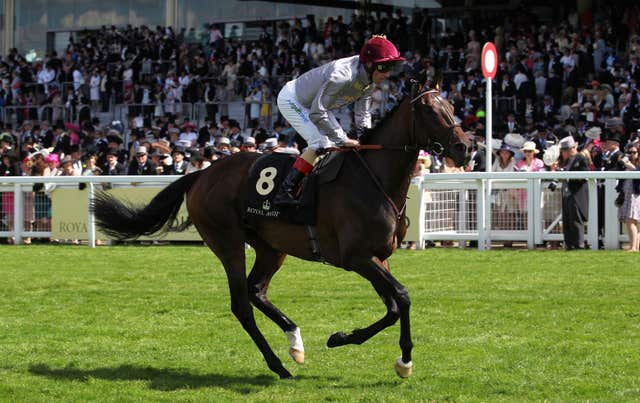 Treve pictured at Ascot before a disappointing run