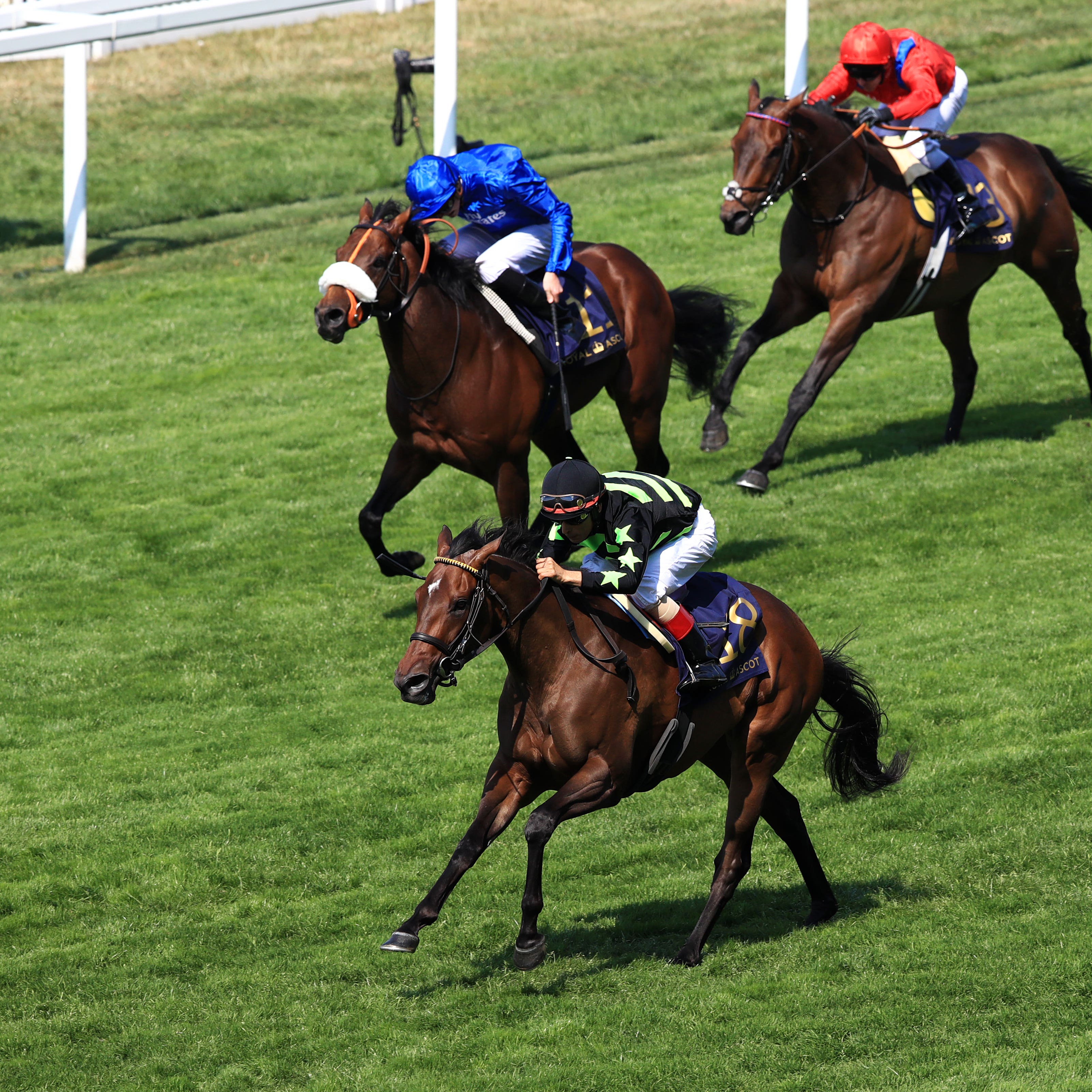 Lady Aurelia was an easy winner of the King's Stand last year