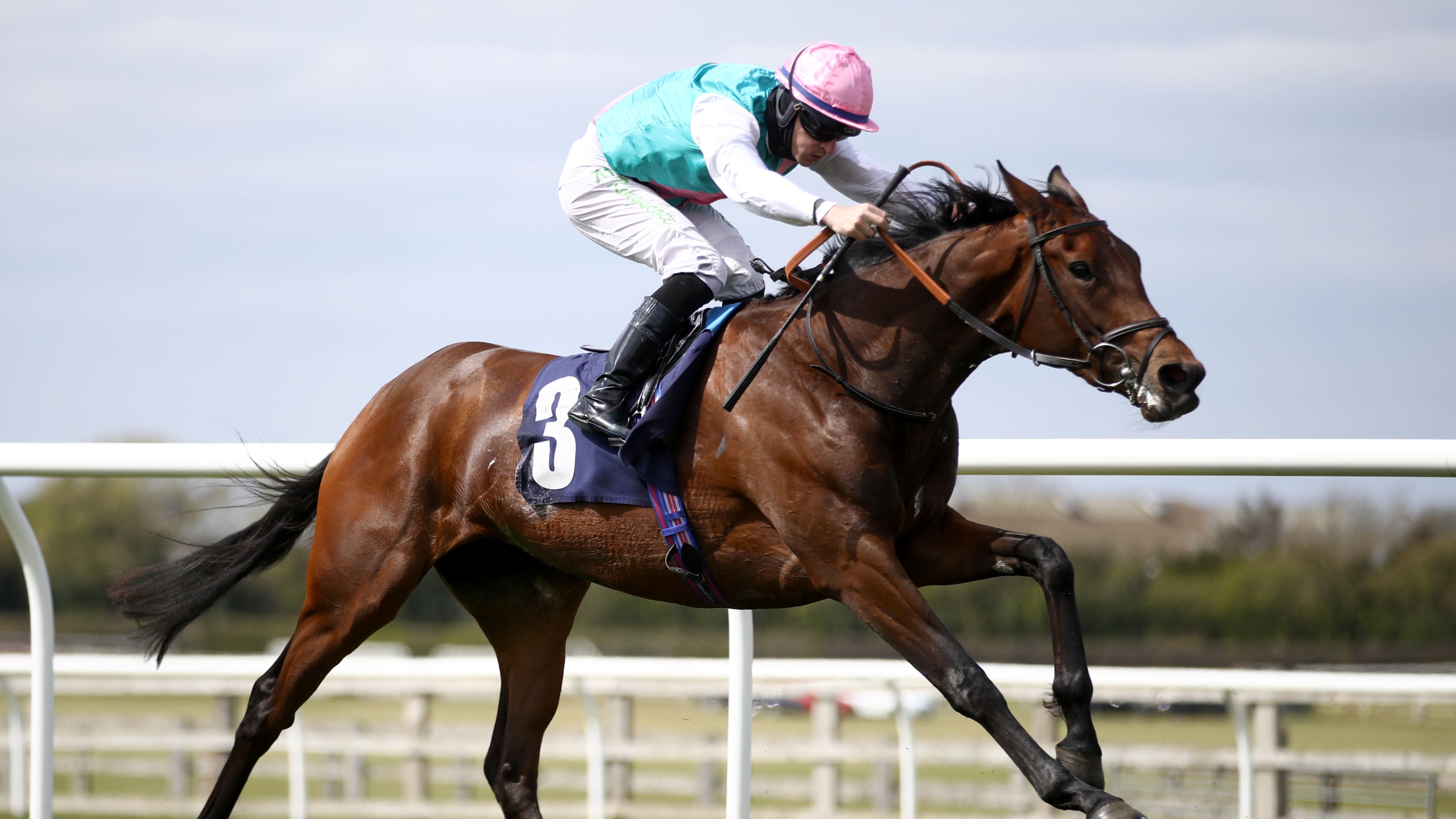 Musidora preview: Noon Star and Teona set for fascinating clash - Vimarsana News