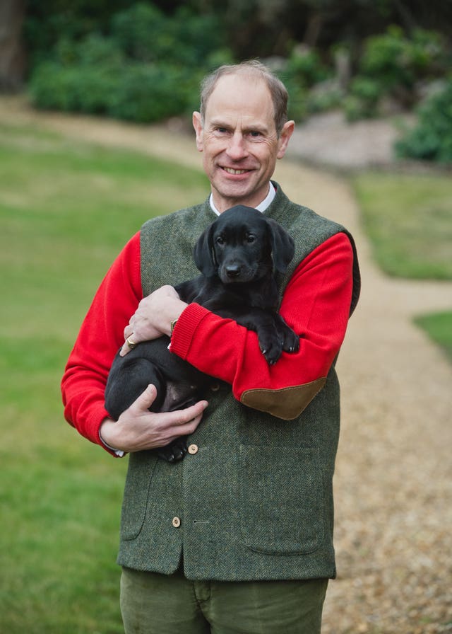 The Duke of Edinburgh with his Labrador puppy Teasel 