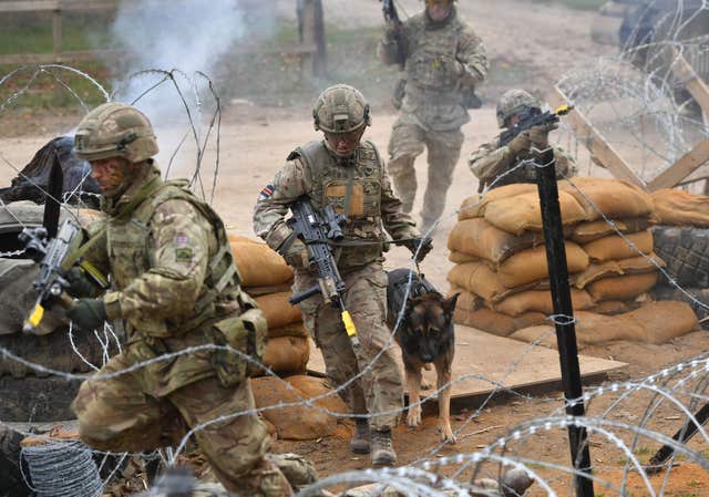 Royal Army Veterinary Corps Dog Handler Private Beth Johnson, centre, with Csillag during a land combat demonstration