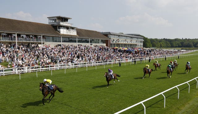 Ambiente Friendly was most impressive in the Lingfield Derby Trial 