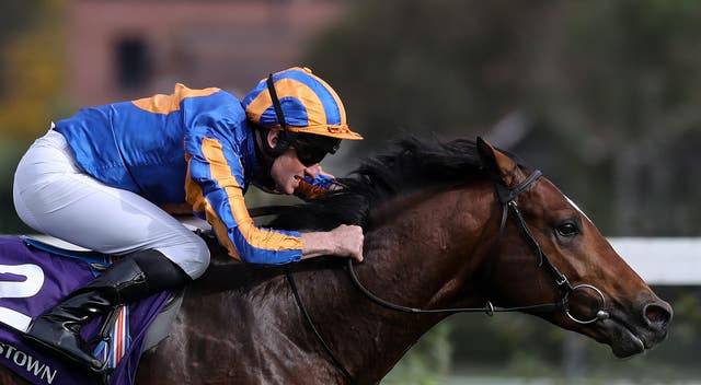 Star Of India at Leopardstown